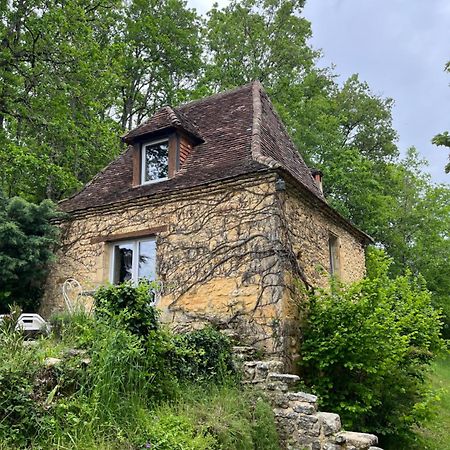 Petite Maison En Perigord Noir Plazac Exteriér fotografie