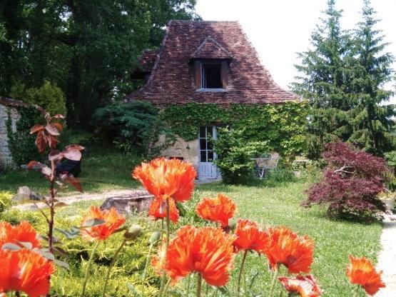Petite Maison En Perigord Noir Plazac Exteriér fotografie