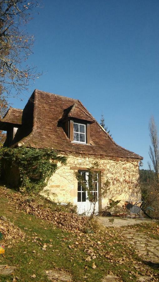 Petite Maison En Perigord Noir Plazac Exteriér fotografie